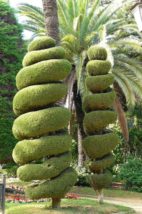 green park palm trees
